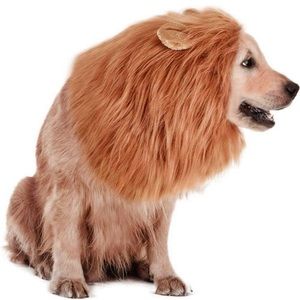 Lion mane for dog 40cm X40cm